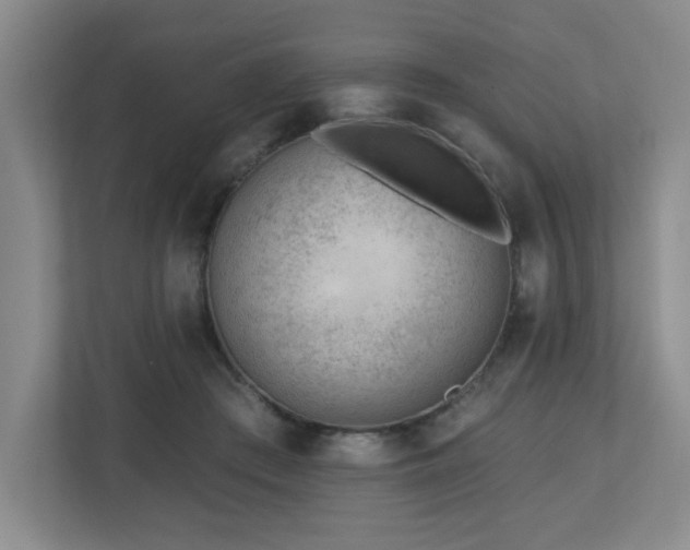 X0000112740409200908201350