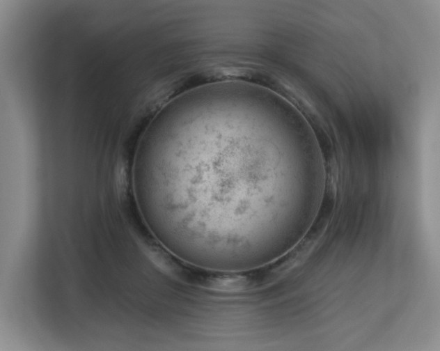 X0000112740410200908201350