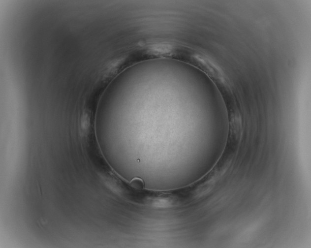 X0000112740412200908201350