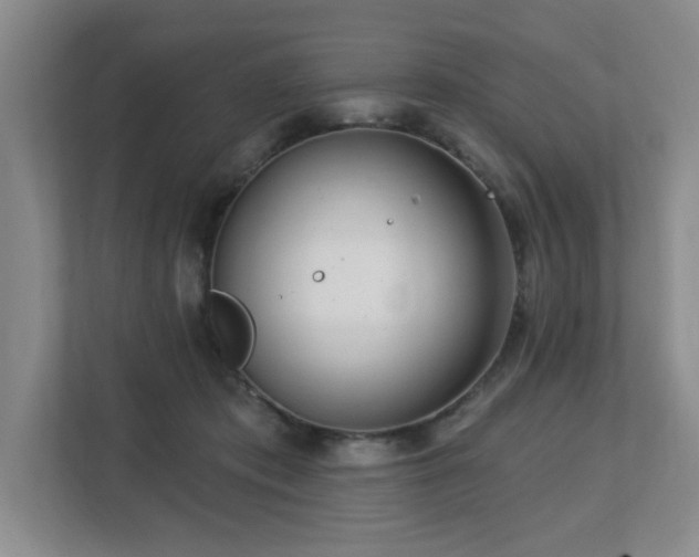 X0000112740413200908201350