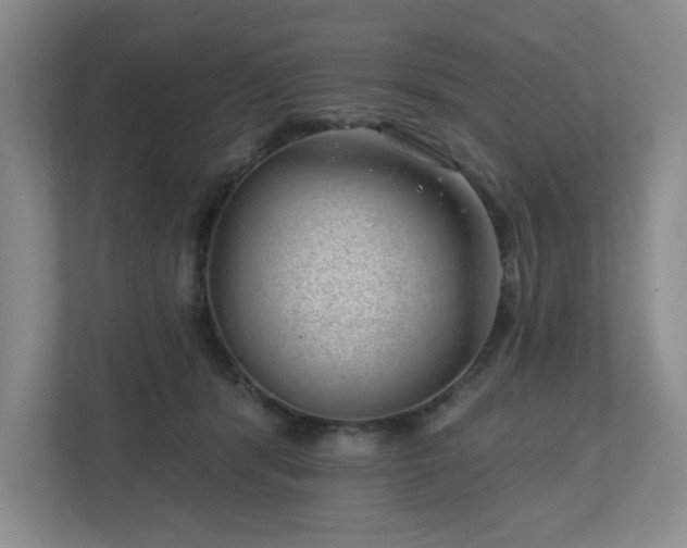 X0000112740416200908201350