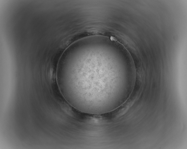 X0000112740420200908201350