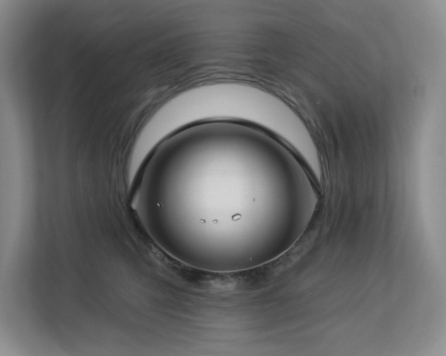X0000112740423200908201350