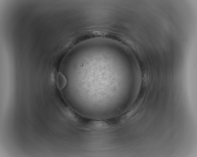 X0000112740424200908201350