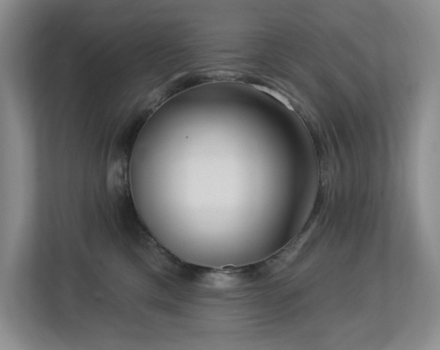 X0000112740425200908201350