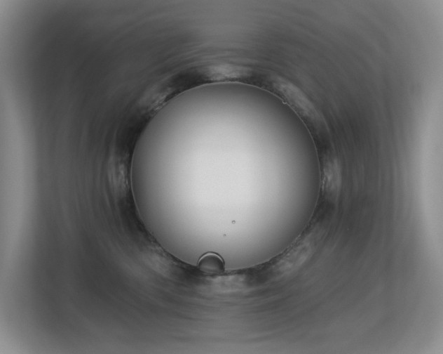 X0000112740426200908201350