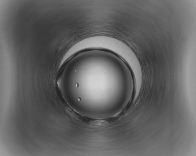 X0000112740427200908201350