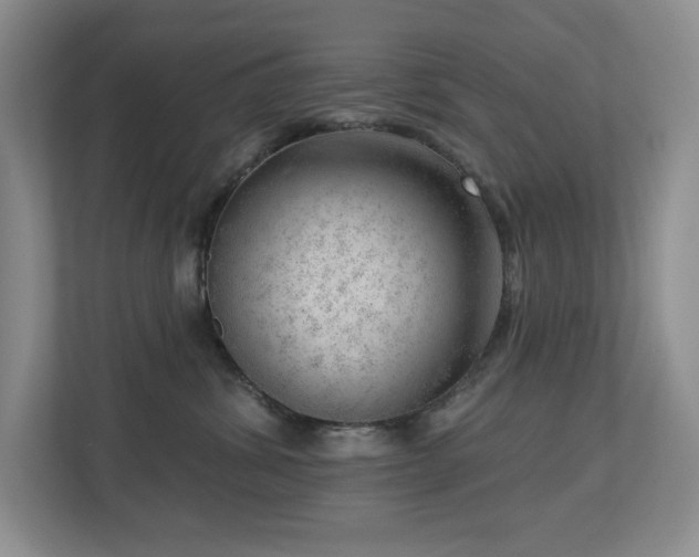 X0000112740428200908201350