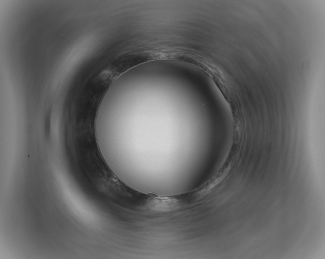 X0000112740429200908201350