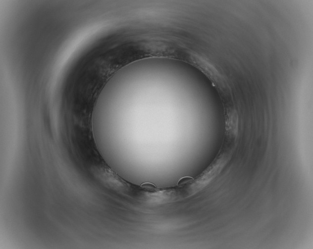 X0000112740430200908201350