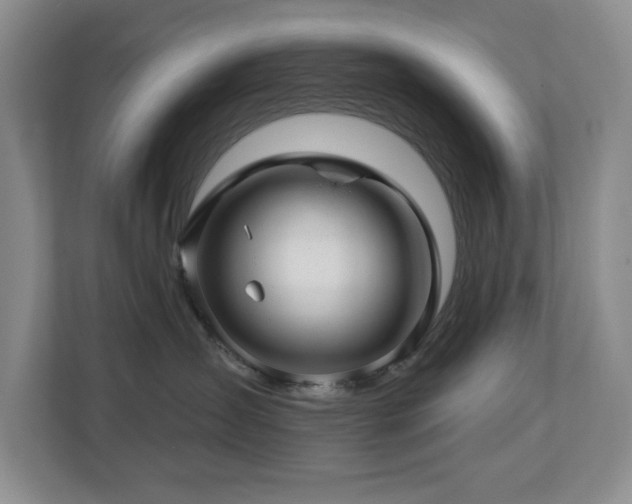 X0000112740431200908201350