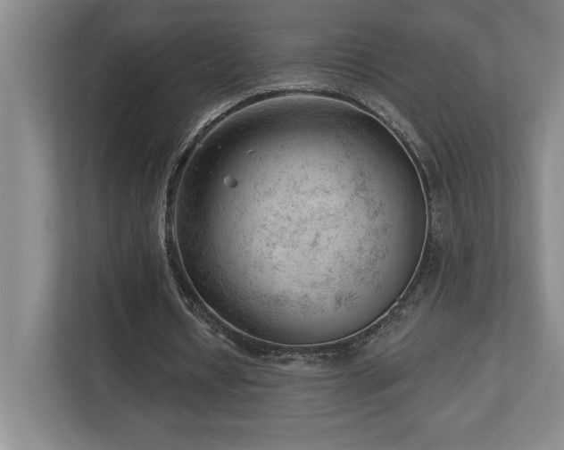 X0000112740434200908201349