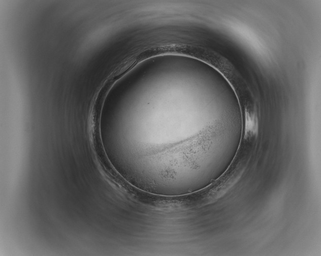 X0000112740435200908201349