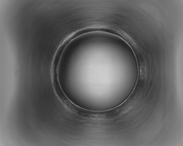 X0000112740436200908201349