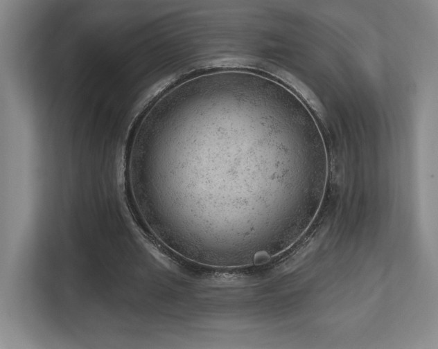 X0000112740437200908201349