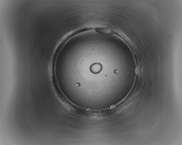 X0000112740438200908201349