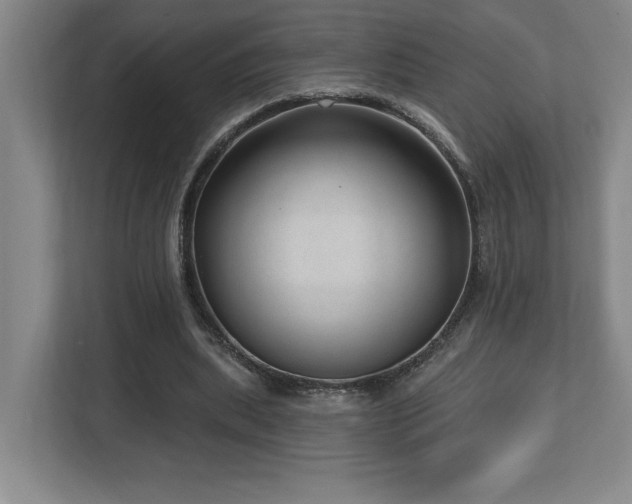X0000112740439200908201349