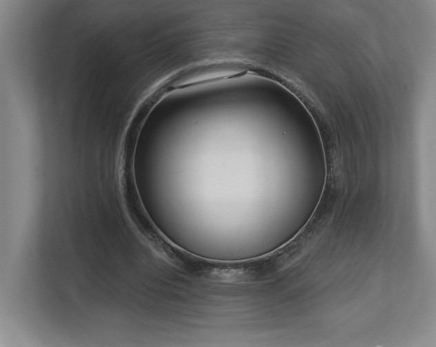 X0000112740440200908201349