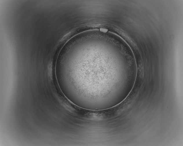 X0000112740442200908201349
