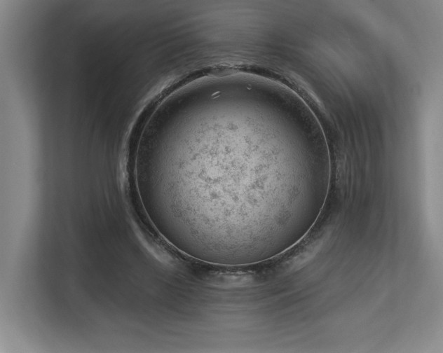 X0000112740443200908201349