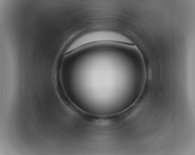 X0000112740444200908201349