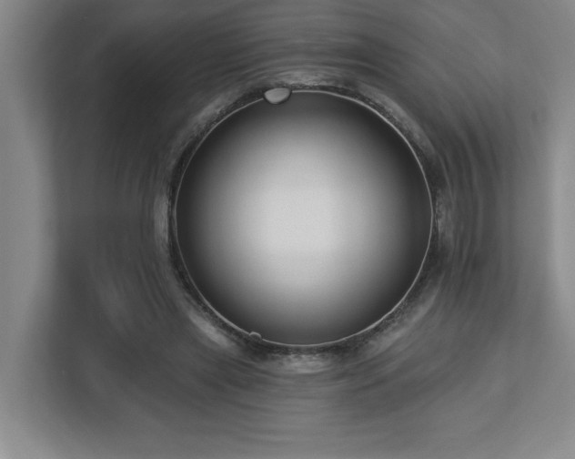X0000112740445200908201350