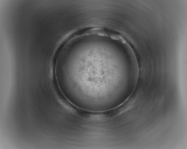 X0000112740446200908201350