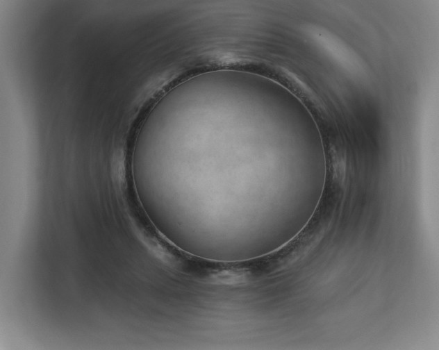 X0000112740447200908201350