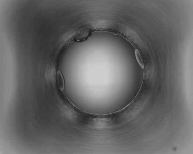 X0000112740448200908201350