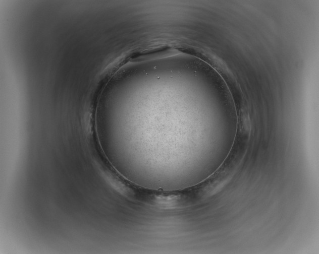 X0000112740450200908201350