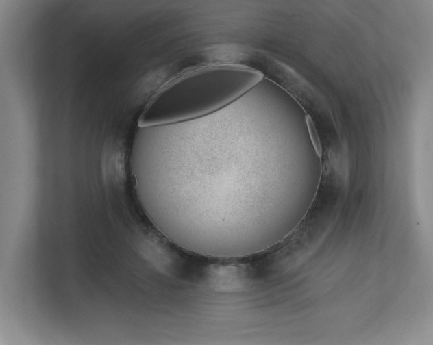 X0000112740452200908201350