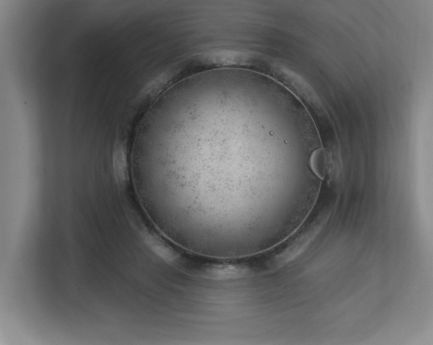 X0000112740453200908201350