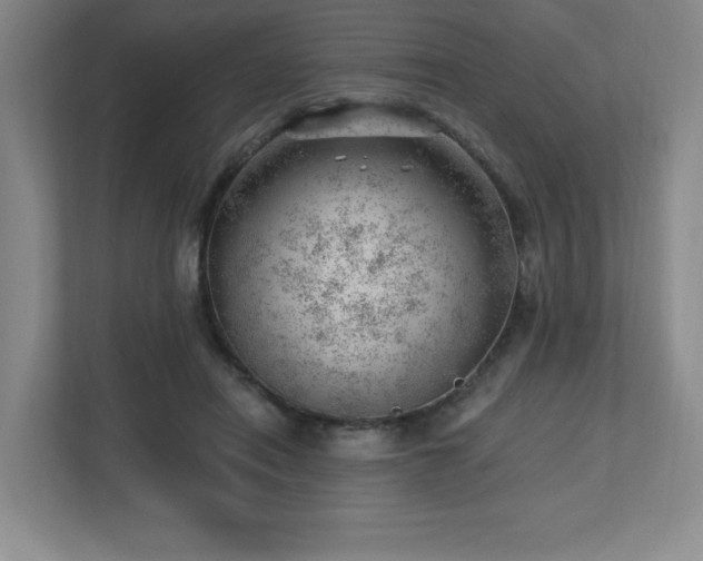 X0000112740454200908201350
