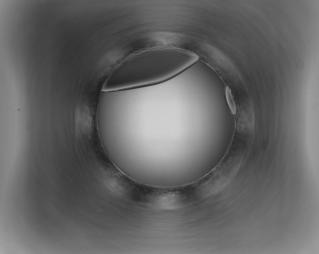 X0000112740456200908201350