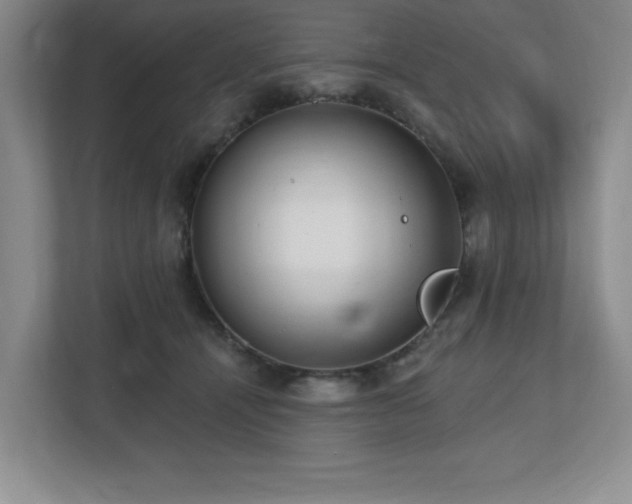 X0000112740464200908201350