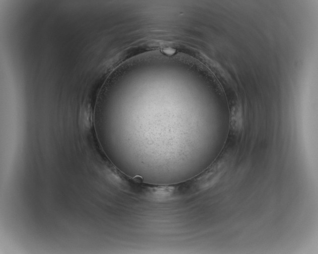 X0000112740474200908201350