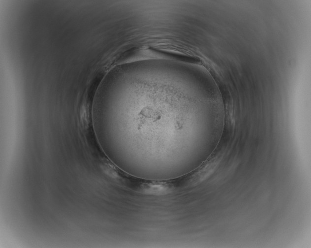 X0000112740475200908201350