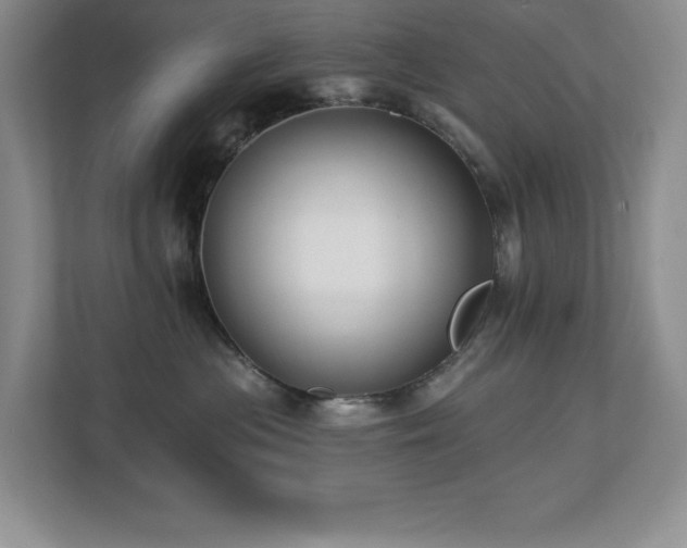 X0000112740477200908201350