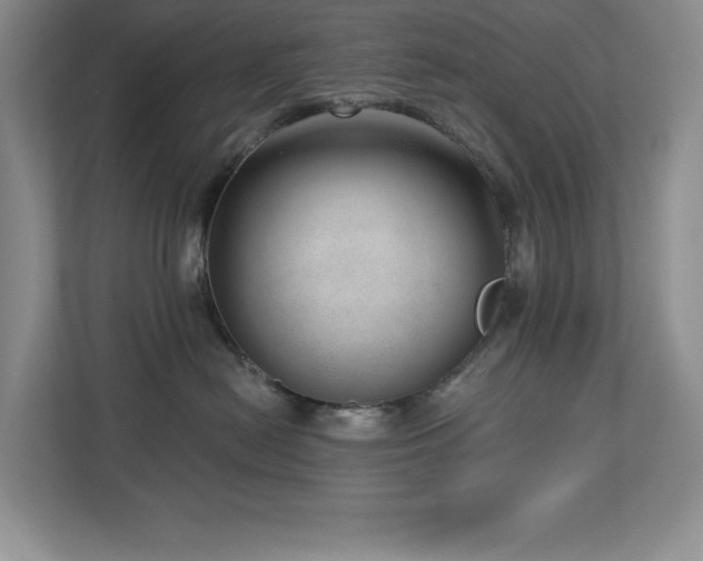 X0000112740478200908201350