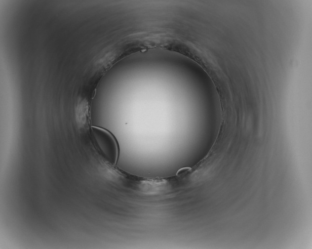 X0000112740480200908201350