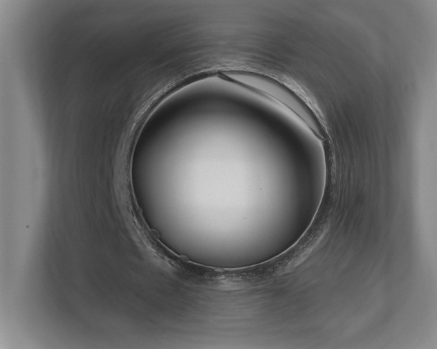 X0000112740481200908201349