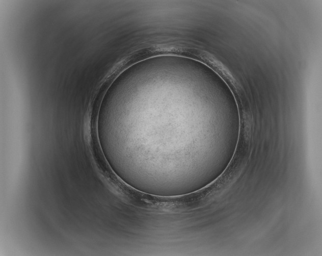 X0000112740482200908201349