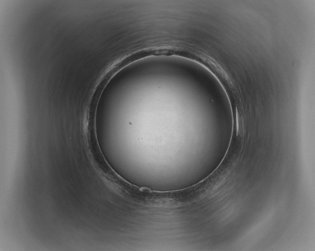 X0000112740483200908201349
