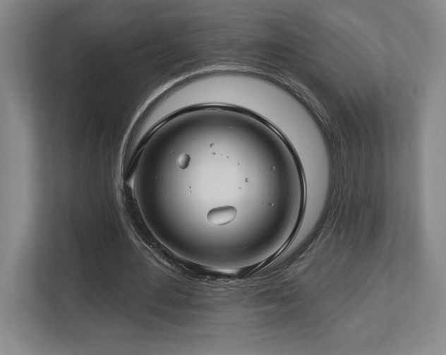 X0000112740484200908201349