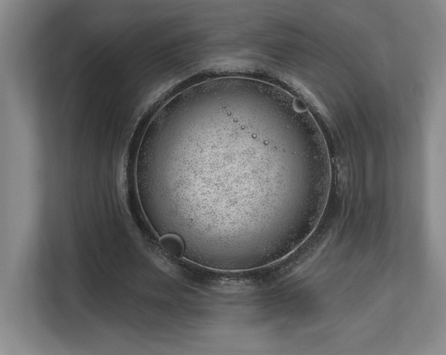 X0000112740487200908201349