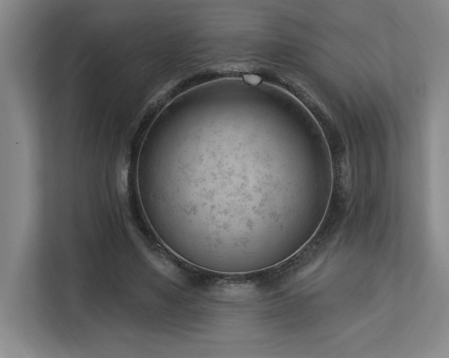 X0000112740491200908201349