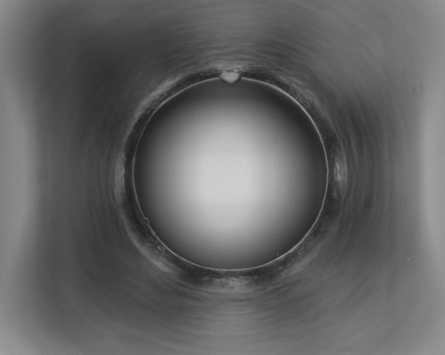 X0000112740492200908201349