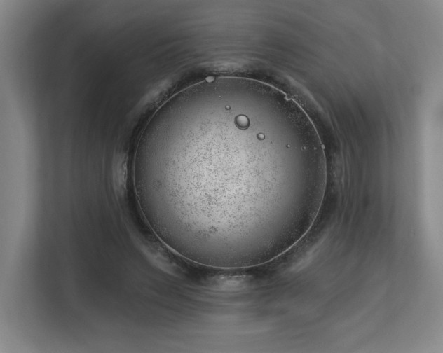 X0000112740495200908201349