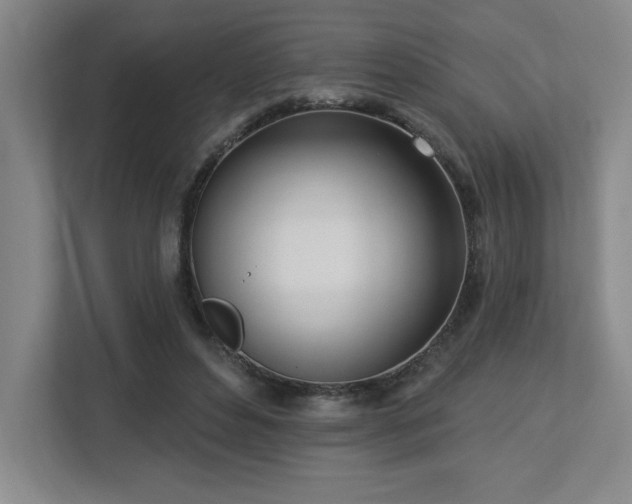 X0000112740496200908201349