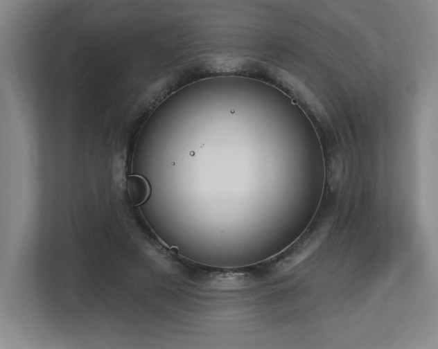 X0000112740497200908201349